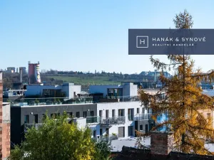 Pronájem bytu 1+kk, Brno, Chaloupkova, 22 m2