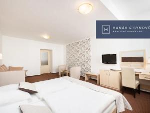 Pronájem bytu 1+1, Brno, Anenská, 41 m2