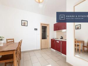 Pronájem bytu 1+1, Brno, Anenská, 41 m2