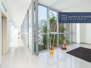 Pronájem bytu 1+1, Brno, Anenská, 41 m2