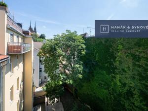 Pronájem bytu 1+1, Brno, Anenská, 41 m2