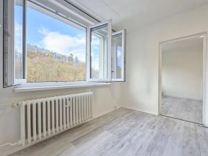 Pronájem bytu 1+1, Kadaň, Na Podlesí, 35 m2