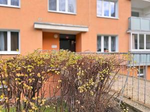 Pronájem bytu 1+1, Kadaň, Na Podlesí, 35 m2