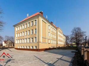 Pronájem bytu 1+kk, Ostrava, Palackého, 20 m2