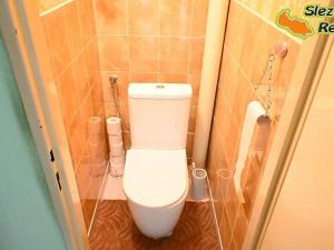 Prodej rodinného domu, Albrechtičky, 320 m2