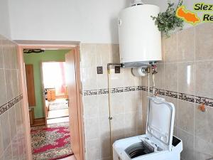 Prodej rodinného domu, Albrechtičky, 320 m2