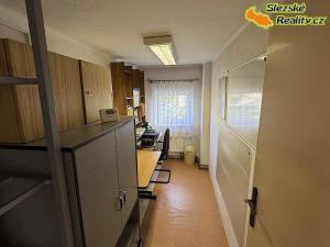 Prodej rodinného domu, Albrechtičky, 320 m2
