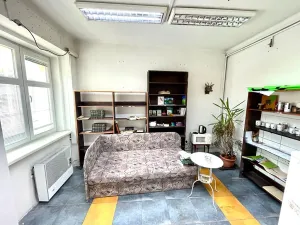 Pronájem obchodního prostoru, Ústí nad Labem, Jateční, 53 m2