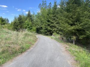 Prodej lesa, Kladruby, 287 m2