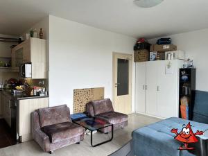 Pronájem bytu 1+kk, Praha - Horní Měcholupy, Hornoměcholupská, 32 m2