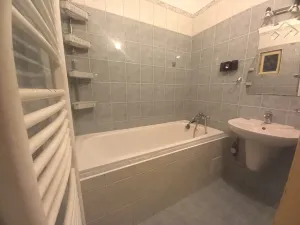 Pronájem bytu 1+1, Brno, Merhautova, 42 m2