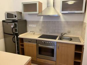 Dražba bytu 2+kk, Praha - Vinohrady, Ruská, 70 m2