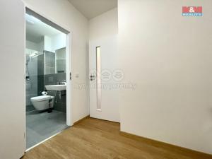 Pronájem bytu 2+kk, Kolín, Zengrova, 45 m2