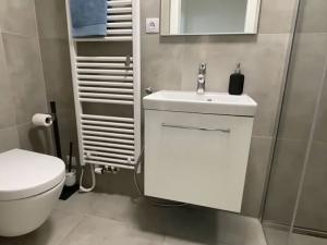 Pronájem bytu 2+kk, Brno, Placzkova, 44 m2