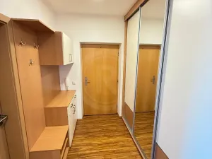 Pronájem bytu 4+kk, České Budějovice, U Lučního jezu, 98 m2