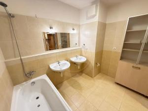 Pronájem bytu 4+kk, České Budějovice, U Lučního jezu, 98 m2