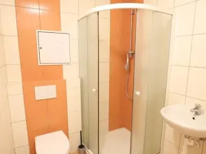 Pronájem bytu 1+kk, Benešov, Tyršova, 44 m2