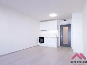 Pronájem bytu 1+kk, Praha - Žižkov, Jana Želivského, 36 m2