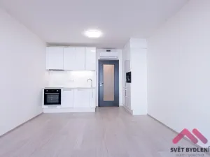 Pronájem bytu 1+kk, Praha - Žižkov, Jana Želivského, 36 m2