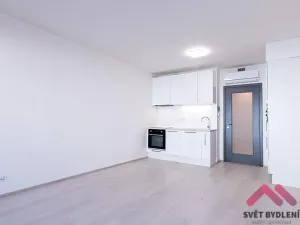 Pronájem bytu 1+kk, Praha - Žižkov, Jana Želivského, 36 m2