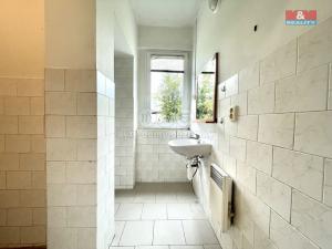 Pronájem bytu 1+kk, Louny, Palackého, 25 m2