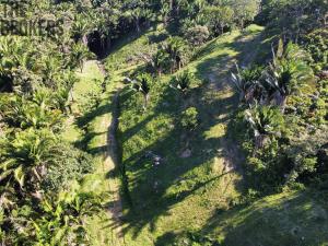 Prodej pozemku, Coxen Hole, Roatán, Honduras, 350 m2