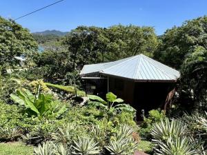Prodej chaty, Coxen Hole, Roatán, Honduras, 464 m2