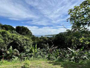 Prodej rodinného domu, Coxen Hole, Roatán, Honduras, 163 m2