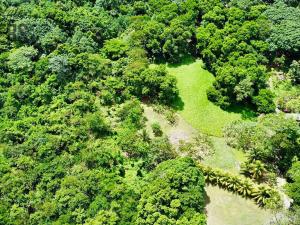 Prodej pozemku, Coxen Hole, Roatán, Honduras, 1959 m2