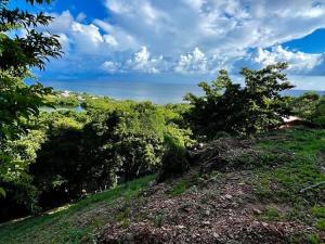 Prodej pozemku, Coxen Hole, Roatán, Honduras, 1000 m2
