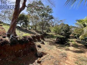 Prodej pozemku, Coxen Hole, Roatán, Honduras, 1594 m2