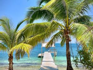 Prodej rodinného domu, Coxen Hole, Roatán, Honduras, 1022 m2
