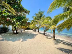Prodej rodinného domu, Coxen Hole, Roatán, Honduras, 1022 m2
