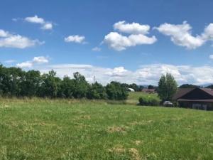 Dražba pozemku pro bydlení, Sedliště, 1650 m2