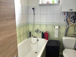 Pronájem bytu 1+1, Ostrava - Heřmanice, Parcelní, 44 m2