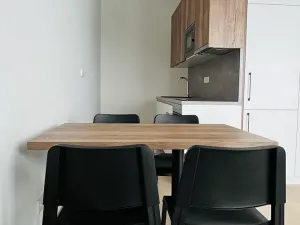 Pronájem bytu 1+kk, Brno, Fuchsova, 53 m2