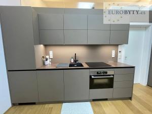 Pronájem bytu 1+kk, Praha - Vršovice, Bartoškova, 41 m2