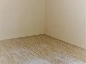Pronájem bytu 1+1, Brno, Vlhká, 46 m2
