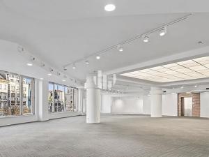Pronájem kanceláře, Praha - Nové Město, Václavské náměstí, 480 m2