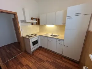 Pronájem bytu 1+1, Karlík, K Třešňovce, 42 m2
