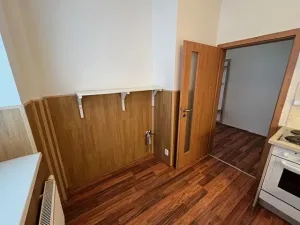 Pronájem bytu 1+1, Karlík, K Třešňovce, 42 m2