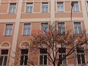 Pronájem bytu 1+kk, Praha - Karlín, Vítkova, 39 m2