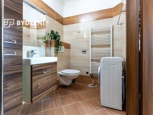 Prodej bytu 2+1, Teplice, Klášterského, 60 m2