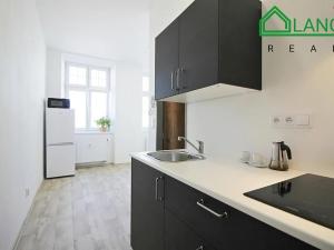 Pronájem bytu 1+kk, Brno, Palackého třída, 21 m2