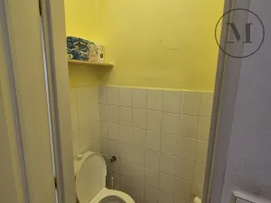 Pronájem bytu 4+kk, České Budějovice, Jírovcova, 82 m2