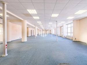Pronájem kanceláře, Praha - Holešovice, Na Maninách, 4000 m2