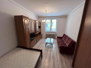 Pronájem bytu 1+1, Olomouc, Praskova, 40 m2