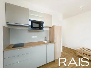 Pronájem bytu 1+kk, Brno, Merhautova, 19 m2