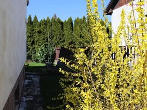 Prodej rodinného domu, Káraný, K Přívozu, 224 m2