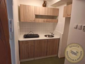 Pronájem bytu 1+kk, Praha - Břevnov, Nad Závěrkou, 20 m2